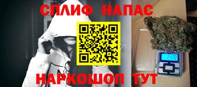 прущие грибы Нижний Тагил