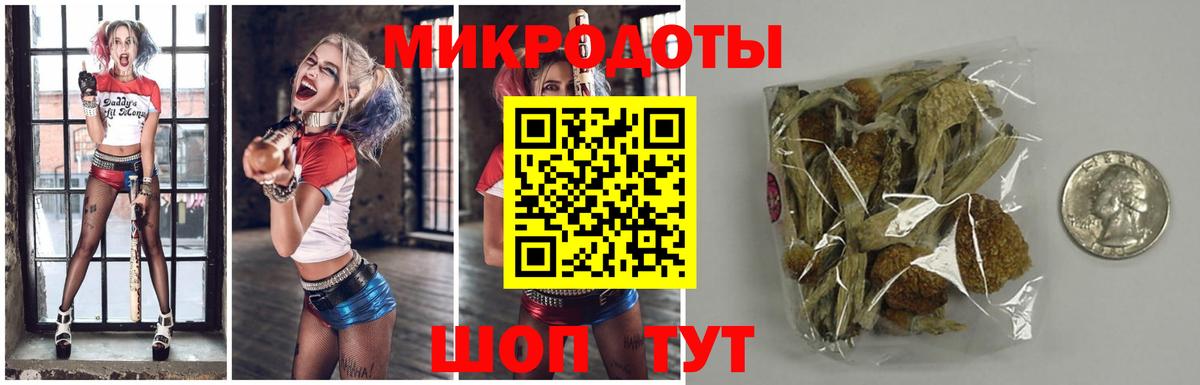 Галлюциногенные грибы Psilocybe  Вход с VPN  Верхний Уфалей 
